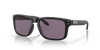 Oakley Holbrook