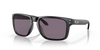 Oakley Holbrook XL
