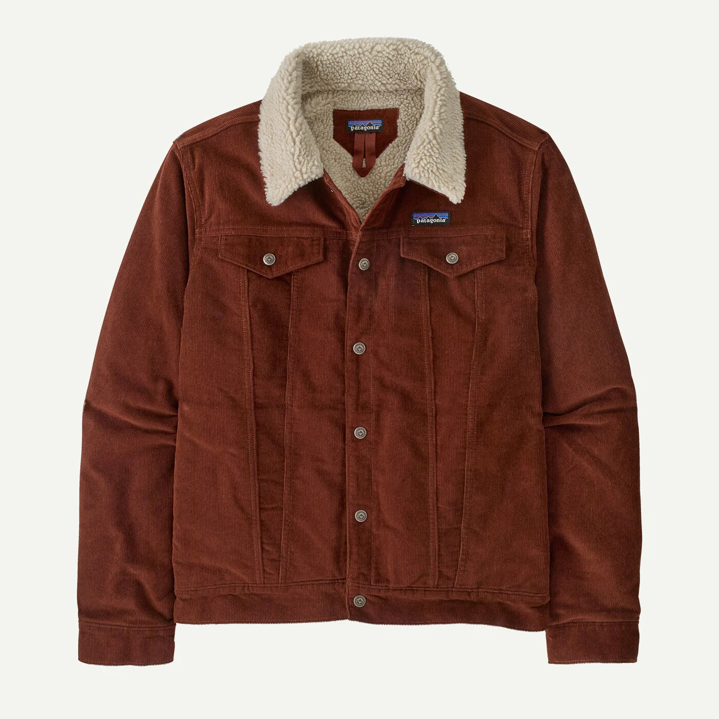 Patagonia Men's Pile-Lined Trucker Jacket