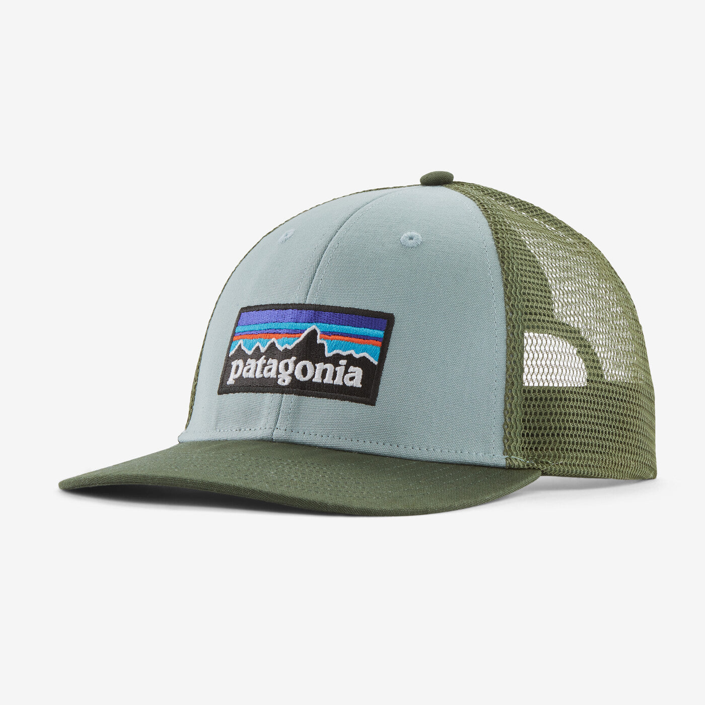 Patagonia P-6 Logo LoPro Trucker Hat