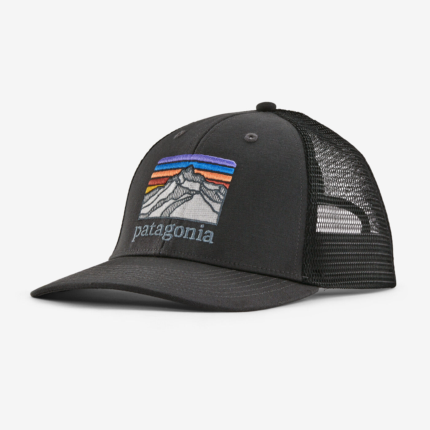 Patagonia P-6 Logo LoPro Trucker Hat