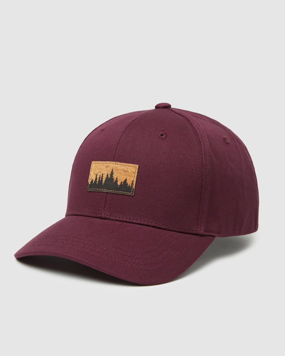 Tentree Juniper Cork Patch Elevation Hat