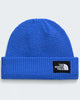 TNF Salty Lined Beanie