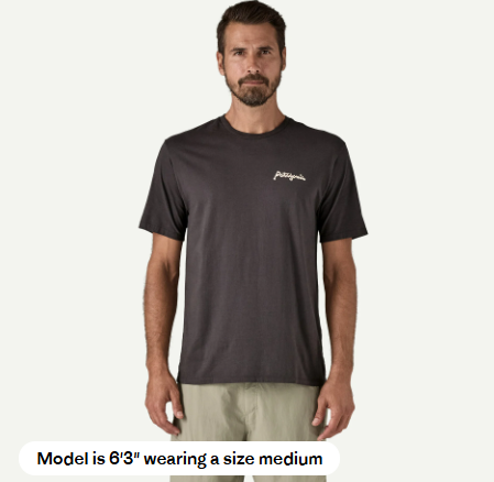 Patagonia Men's Aquatic Action Organic T-Shirt