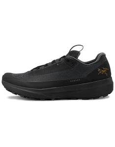 Arc'teryx Norvan LD 4 GTX Shoe Men's