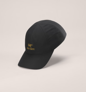 Arc'teryx Bird Word Cap