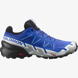 Salomon Men's Speedcross 6 GTX